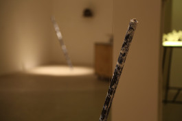 Ronit Eden